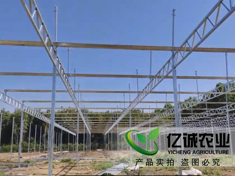 智能玻璃溫室大棚-讓景觀花卉綻放更美